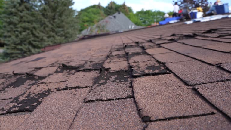 Best Sheet Metal Roofing  in Hanamaulu, HI
